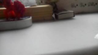 Lps: 3серия