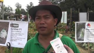 PANGASINAN WATCH | RESEARCH FARM NG ALLIED BOTANICAL CORPORATION IBINIDA