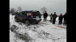 honda hrv VS NIVA