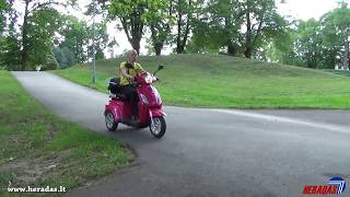 Elektrinis triratis vežimėlis,motoroleris, triratis skuteris Electron MS03, Electric trike 48V 500W