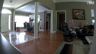 Nest security cameras does work on dogs