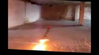 IMAQLIQ lyuboj cenoj! 240