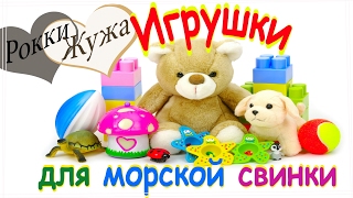 Лучшие игрушки для морской свинки. Делаем сами. Легко! Toys for guinea pig.