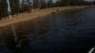 И вновь при ловле жереха выручает виб NORTH CRAFT BT-Vib 78. Asp Fishing.