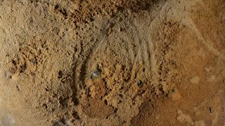 The earliest Neanderthal engravings on cave walls