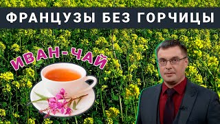 Англия забыла свою историю, а Россия помнит и развивается ускоренным темпом