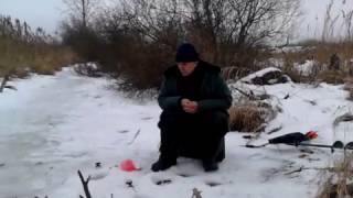 Ласка ворует рыбу у рыбаков ! Прикольно!