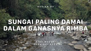 GUNUNG LEUSER - Atap Negeri Aceh #3