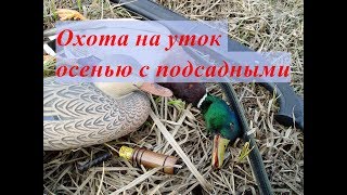 Охота на уток осенью с подсадными, выпуск №116 (UKR)