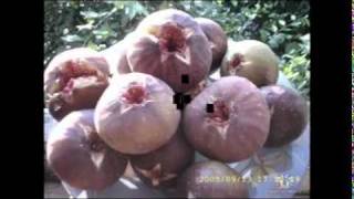 Очамчира- это лучший Город мира