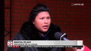 Tipnis: Ambientalista denuncia que hay cultivos de coca en Polígono 7