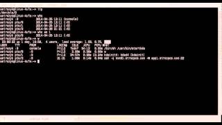 Linux Commands Series: tty, who, what, whoami