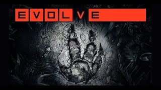 Evolve Stage 2 Performance Test