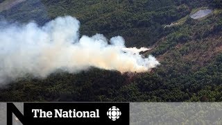 Ontario forest fire burning out of control