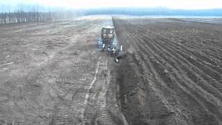 T-130 lánctalpas mélyszántás RIGOL ekével, bulldozer forest ploughing ( ЧТЗ 130 )