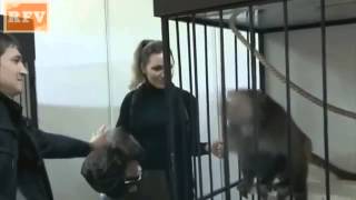 Самые смешные животные НОВИНКА 2015 ∙ Best Funny Cute Animals 2015 ·