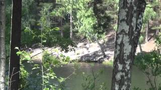 Литва Озеро Скайдрас Тарзанка 1 (Lithuania Skaidras Tarzan)