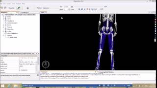 OpenSim: Scaling