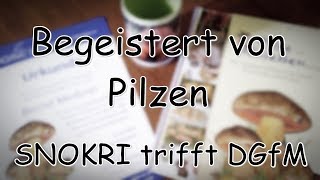 Begeistert von Pilzen - SNOKRI trifft DGfM - Pilze Special