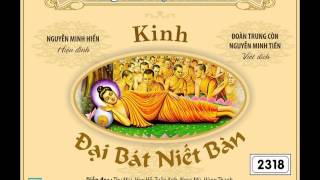 Kinh Đại Bát Niết Bàn (109/137) - Tổng Quan Kinh Đại Bát Niết Bàn