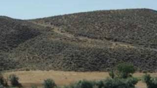 The Oregon Trail