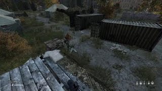 DayZ when wolves attack