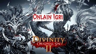 Divinity Original Sin 2 The End или Четыре варианта концовки! Скоро Обзор!