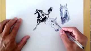 Картинки лошади - drawing horse