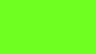 BLACK FLASHING GREEN SCREEN