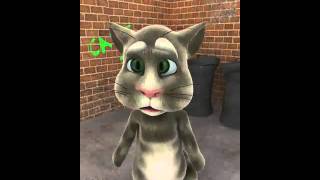Cat get beat up