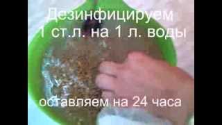 День 1. Подготовка зерна для выращивания гидропонным методом (без грунта).