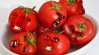 Помидорная яичница | Шакуша | Куда деть помидоры? (рецепт, пародия от Глафиры Абрамовны)