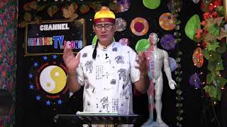 FITOTERAPIA.PEREJIR Y SEMILLAS DE SANDIA .LIMPIA LOS RIÑONES.( creationsTV.icono)