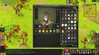 [DOFUS] BILAN DE MA TEAM APRÈS 289 JOURS DE JEU !