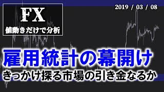 【FX】幕開ける雇用統計、きっかけ探る市場の引き金となるか（2019年3月8日）