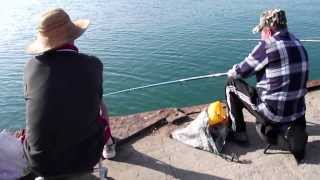 Ловля барабули в Коктебеле с 08 по 24 06 2013