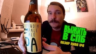 ВЫЖИТЬ В СПБ: Обзор на крафтовое пиво IPA Волковской Пивоварни и небольшой опрос