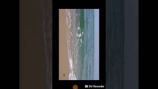 Sonido del mar