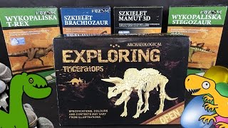 Archaeological Exploring Triceratops! DINO in the BOX! Unboxing! Opening Fossil by TheSurpriseEggs