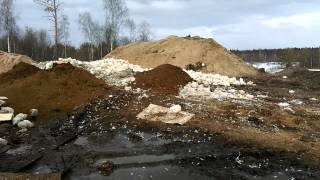 Массовое убийство куриц в Архангельской области