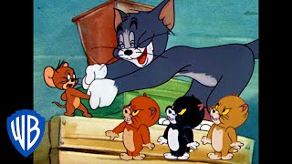 Tom y Jerry en Español | ¿Amigos o enemigos?