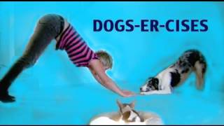 Dogs-er-cises Starring Splash the Border Collie - Dog Tricks