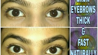How to Grow Eyebrows Faster and Thicker Naturally |Home Remedies for dark thick Eyebrows(Hindi)