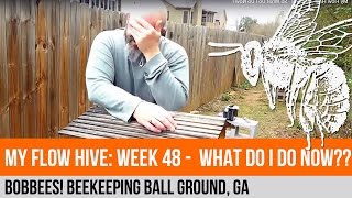 My Flow Hive: Week 48 - So What Do I Do Now?