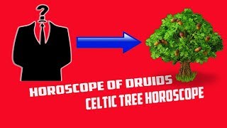 Horoscope of druids | Celtic tree horoscope