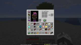 Minecraft - активация портала в край (Java, 1.14.1)