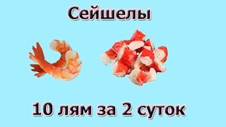 Русская Рыбалка 3.99 Наживки креветка и крабовое мясо