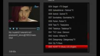 Amiko IPTV Webtv list
