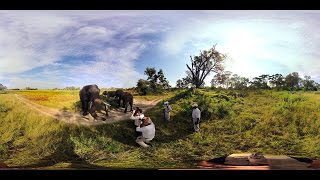 360 Video Elephant walk, Oculus Rift VR - Photos of Africa