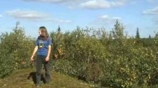Cart-Monkeys (Tersky Coast of the White Sea): Part One